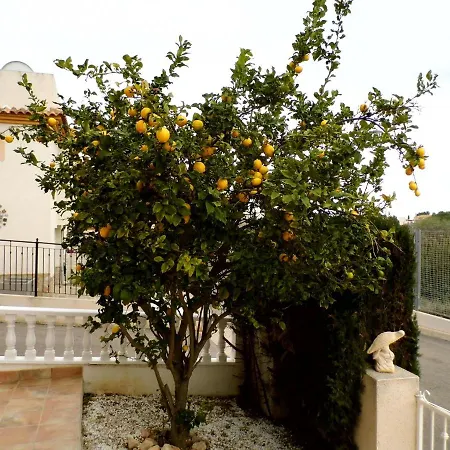 Flamenca - 10 Sleeps Holiday home